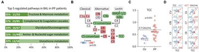 A role for the terminal C5-C9 complement pathway in idiopathic pulmonary fibrosis